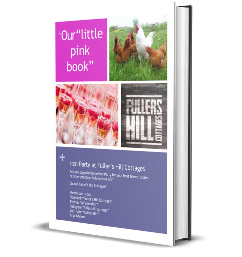 little pink book